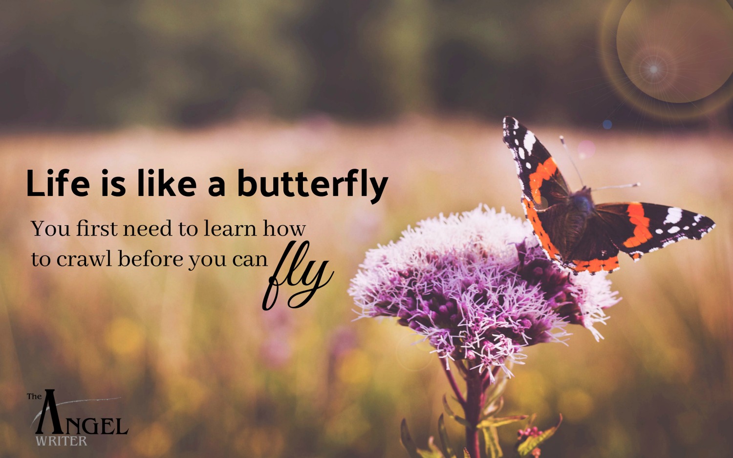 butterflymeaning